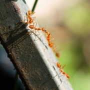 danh-danh-DjzJyidiUE4-unsplash